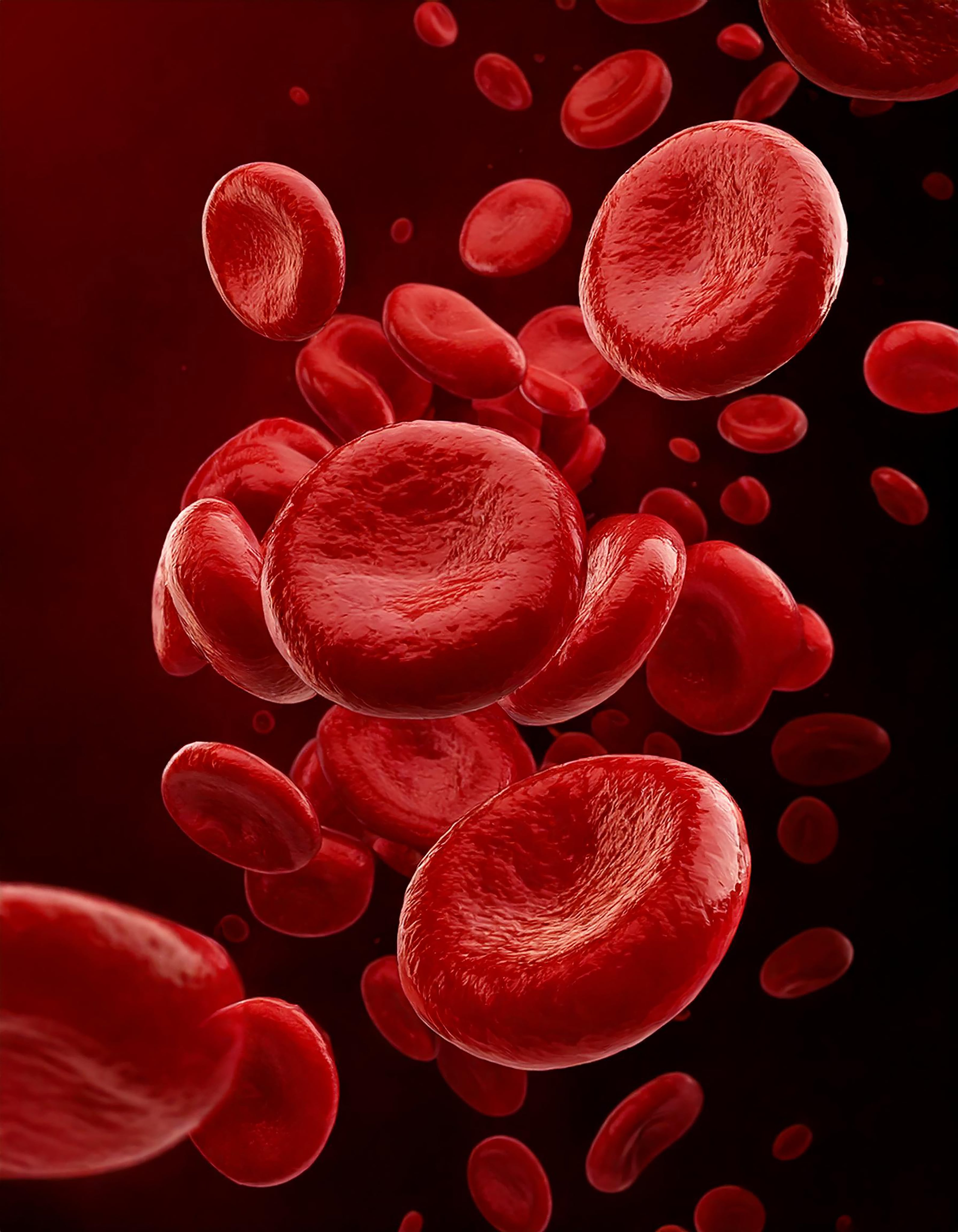 Tadalafil — blood flow support